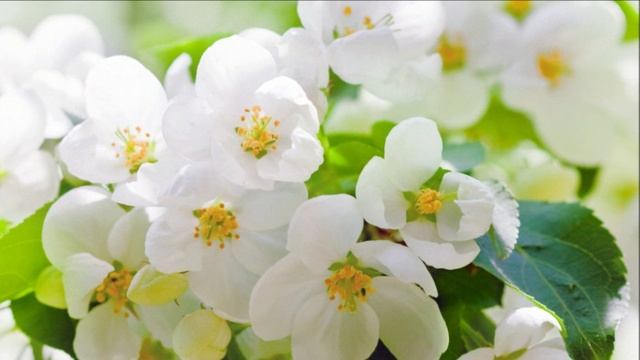 Непересекающиеся реальности.