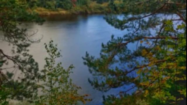 Ветлужская осень. (2016 г.) смотреть онлайн