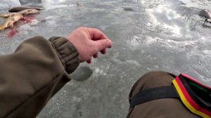 ЛОВЛЯ КАРПА ЗИМОЙ СО ЛЬДА НА МОТЫЛЯ КЛЕВ РАЗРЫВ