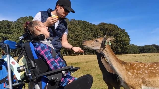 Feeding deer in Phoenix Park Dublin/ Катюха кормит оленей в Феникс парке, Дублин смотреть онлайн