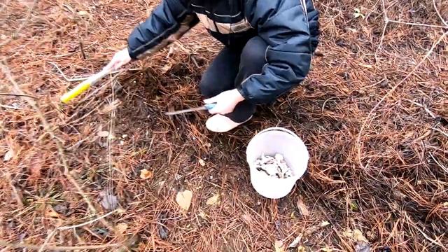 Январские мышата к рождественскому столу смотреть онлайн