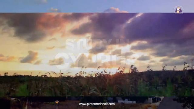 EDUCATION CONSULTANT| About Us| Company overview|Company profile смотреть онлайн