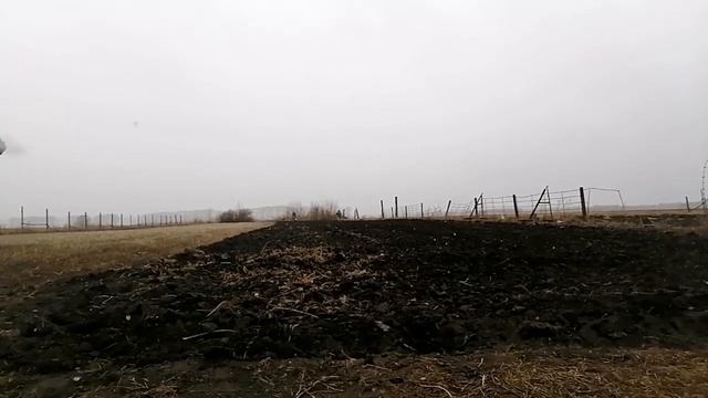 #1 Посадка гороха на сено. смотреть онлайн