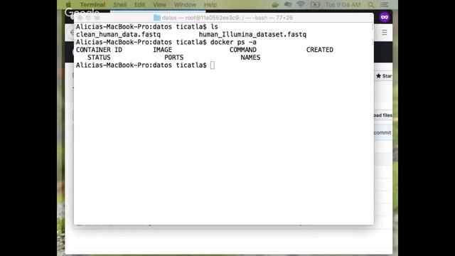 Clase 11 BioinfinvRepro: repaso Docker e intro datos genómicos смотреть онлайн
