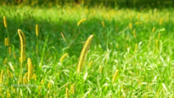 Управление Ветром - Как Управлять Ветром - Магия Воздуха - Маг Sargas