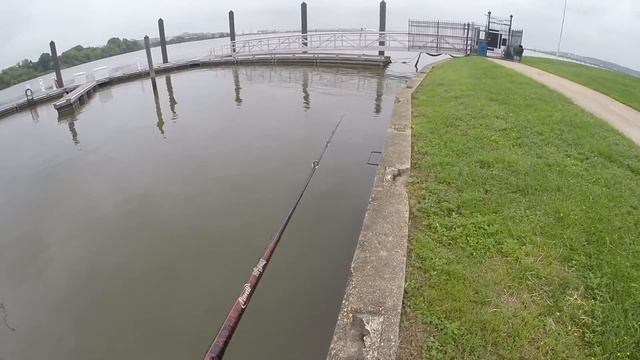 How To Find Local Fishing Spots Using Google Maps! смотреть онлайн