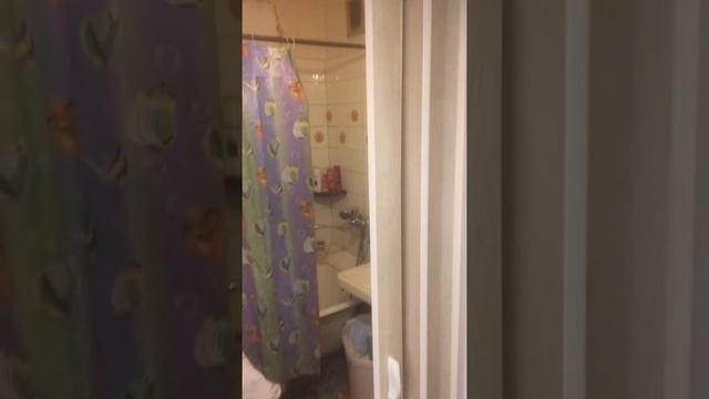 Дверь гармошка Pioneer