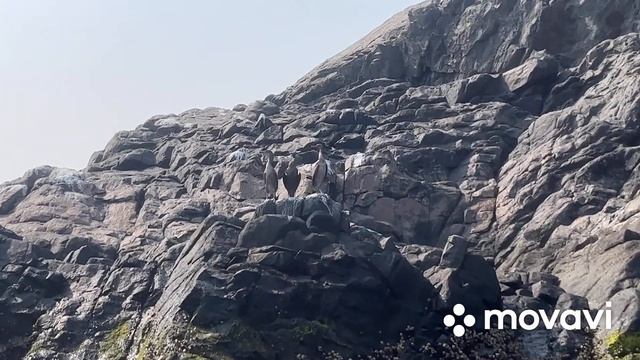 сплав Аравийское море Оманский залив смотреть онлайн
