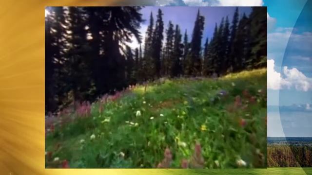 Народное творчество Оренбургской области Концертный русский оркестр 