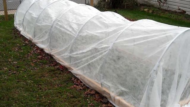 Как УКРЫТЬ РОЗЫ на ЗИМУ смотреть онлайн