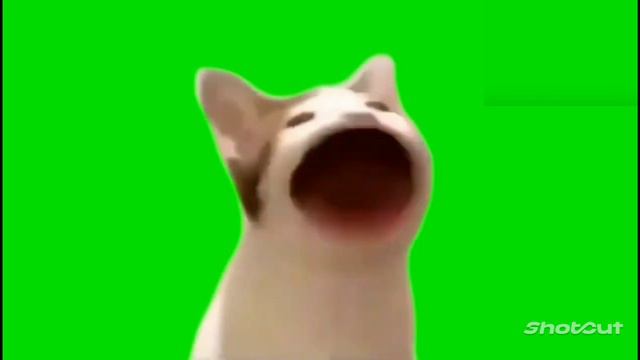 #оригинал#👍