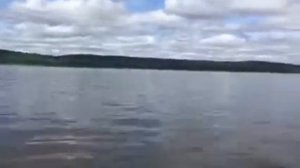 Лодка ПВХ Gladiator 450 и мотор Gladiator 30л.с.