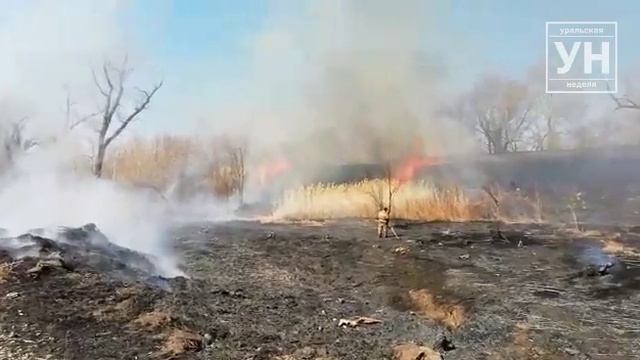 Пожар из за сжигания сухой травы и камыша в дачном обществе Уральска. смотреть онлайн