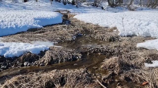 Еще в полях белеет снег, А воды уж весной шумят смотреть онлайн