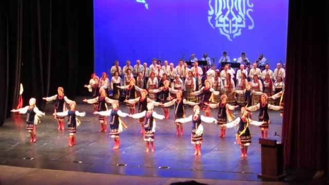 Barvinok Curitiba - Hopak Prostei 2015 смотреть онлайн