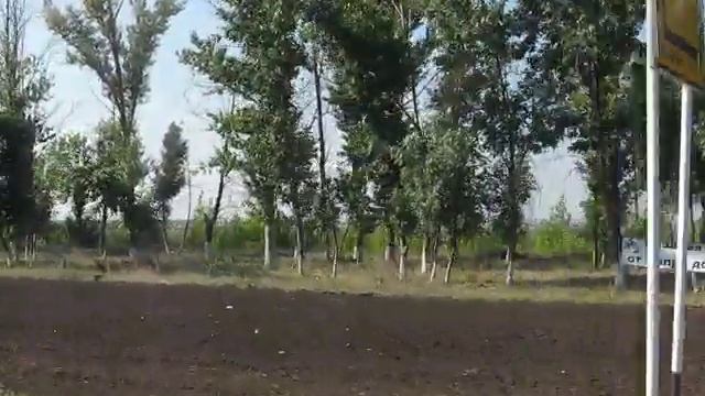 Пикеты вдоль дороги между Новохопёрском и с Красное 07 08 12 г