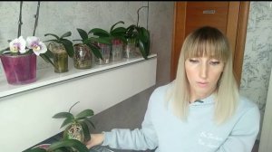 КОРНИ ОРХИДЕИ РАСТУТ в ПЕРЛИТЕ! / ПОСАДКА для НАРАЩИВАНИЯ КОРНЕЙ / Ответы на Ваши вопросы про перли