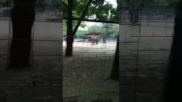 парк в нижнем Новгороде