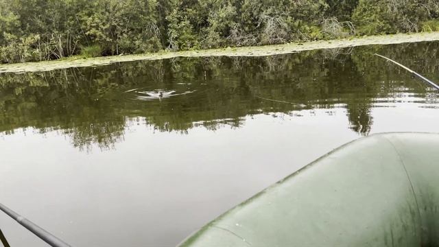 ЛОВЛЯ НА ПОПЛАВОК С ЛОДКИ смотреть онлайн