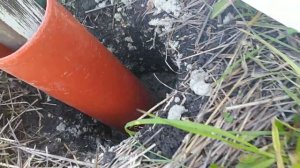 Как залить заборный столб на долгие года. Четвертый этап строительства питомника.