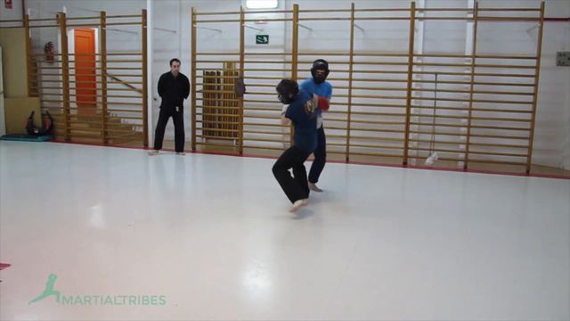 Jeet Kune Do techniques смотреть онлайн