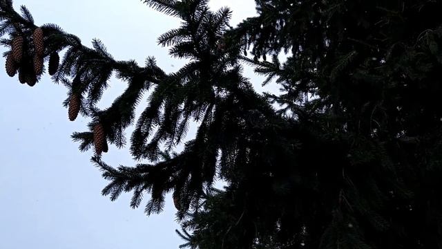 31 декабря.ВОЛШЕБНЫЙ ДЕНЬ.Чтобы год был счастливым.Что нельзя делать.Новогодние приметы смотреть онлайн