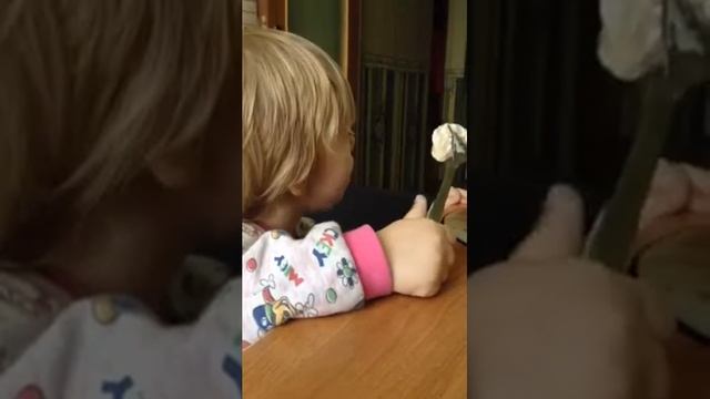 Настенька пельмени кушает смотреть онлайн