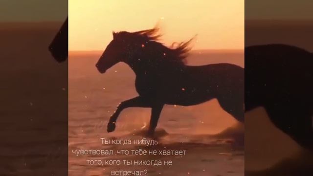 Красивые видео статусы со смыслом смотреть онлайн