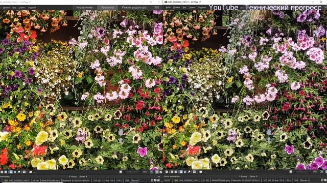 Huawei P40 PRO Vs Huawei P40 PRO Plus. Photo, Video Comparison. Сравнение Большой тест фото и видео