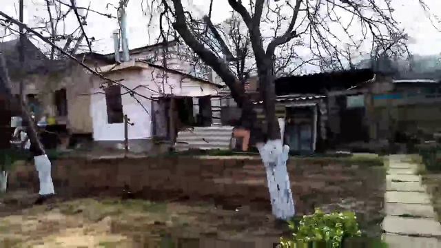 Наводим порядок в огороде/оладушки