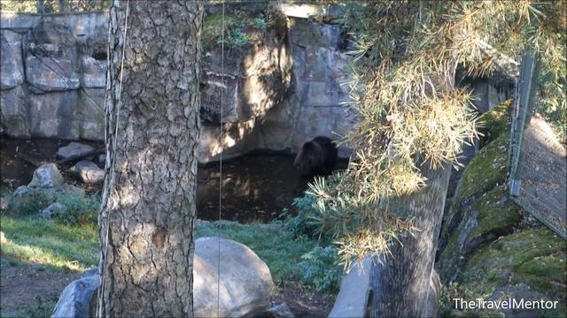 Stockholm's Skansen, the open-air museum and zoo in Sweden смотреть онлайн