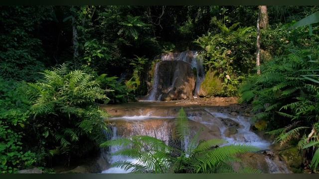 Мелодия для медитации и отдыха. Эта самая красивая мелодия которую я услышал!!! смотреть онлайн