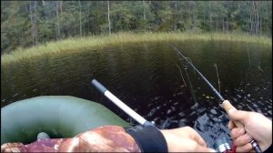 Rapala Minnow Spoon. Ловля щуки поздней осенью на незацепляйку Рапала