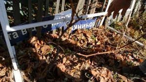 Обрезка Винограда осенью: БЫСТРО, ПРОСТО, ПОНЯТНО