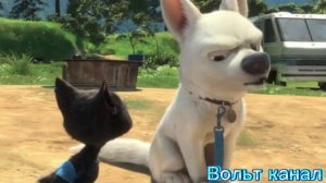 Вольт и Варежка клип наедине ( заказ )