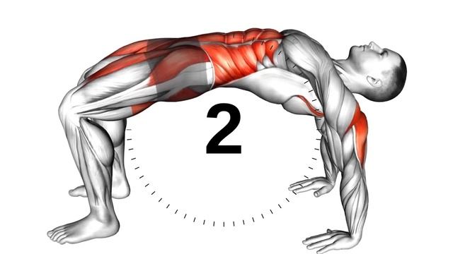 8 Kegel Exercises For Erectile Dysfunction