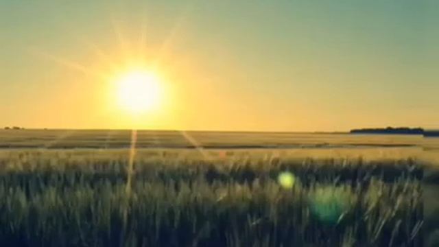 Аффирмация.Луиза Хей смотреть онлайн