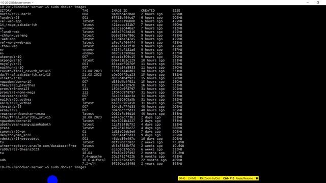 Rorn Marin Final1 Docker Push and Pull смотреть онлайн