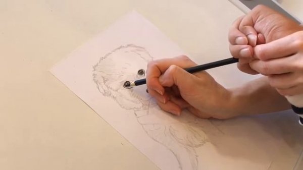 Веселый Пёсик. Drawing dog. Painting tutorial. Colored pencils. Drawing with children