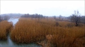 Рассказ о городе Бобров, река Битюг в районе города 30.11.2019 года.