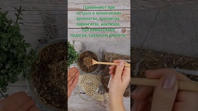 Багульник/ Травы Горного Крыма смотреть онлайн