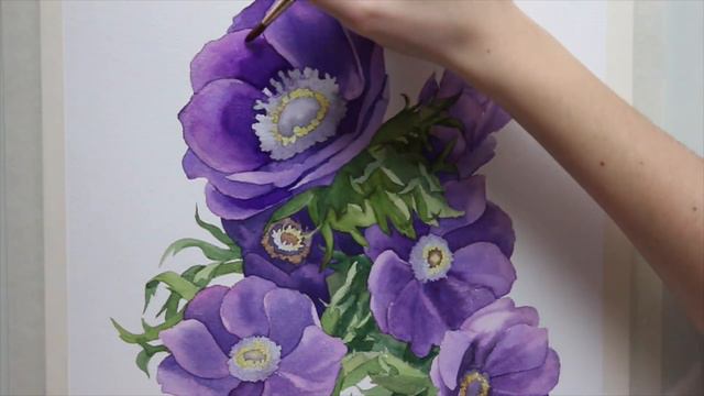 Акварель | Анемон (Watercolor | Anemones)