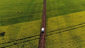 Зульфира & Алмаз Мирзаяновлар   "Син минеке"