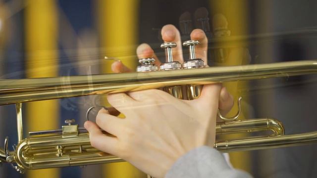 🎺Vangoa VTB-1 Standard Bb Trumpet Unboxing Video смотреть онлайн