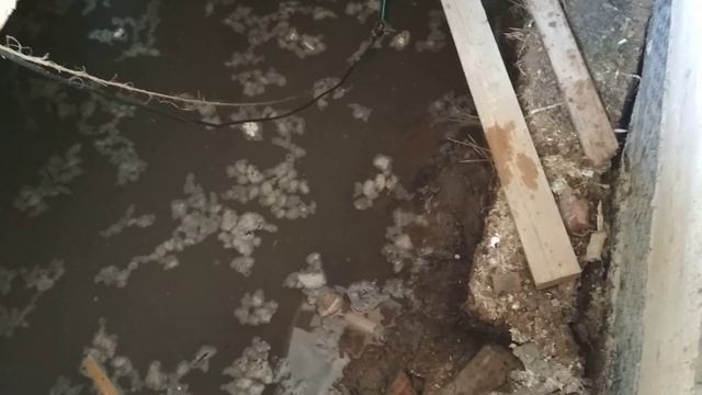 Венеция на даче. смотреть онлайн