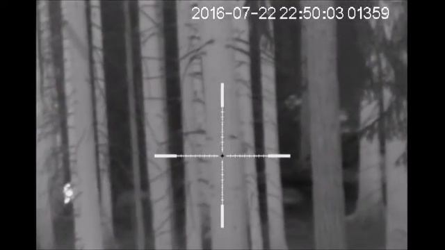 Thermal Hog Hunt - Apex HD50 смотреть онлайн