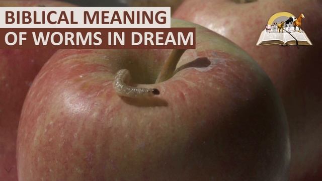 Biblical Meaning of WORMS in Dream - Find Out The Dream About Worms смотреть онлайн