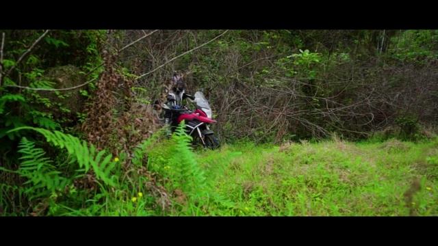 Мотоцикл в стиле ADVENTURE. DAYUN 300RALLY.