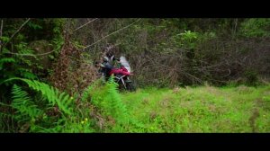 Мотоцикл в стиле ADVENTURE. DAYUN 300RALLY.