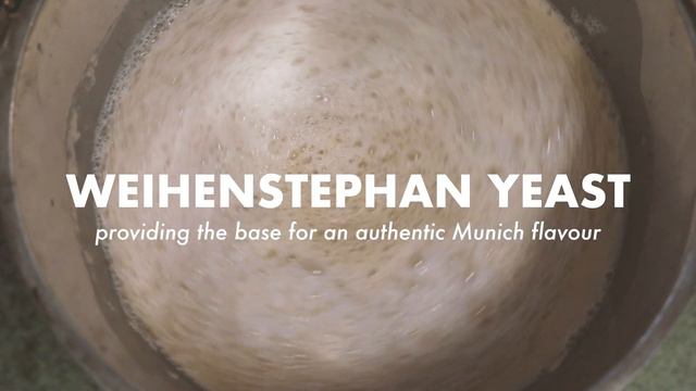 Manchester Rein by Albert's Schloss смотреть онлайн